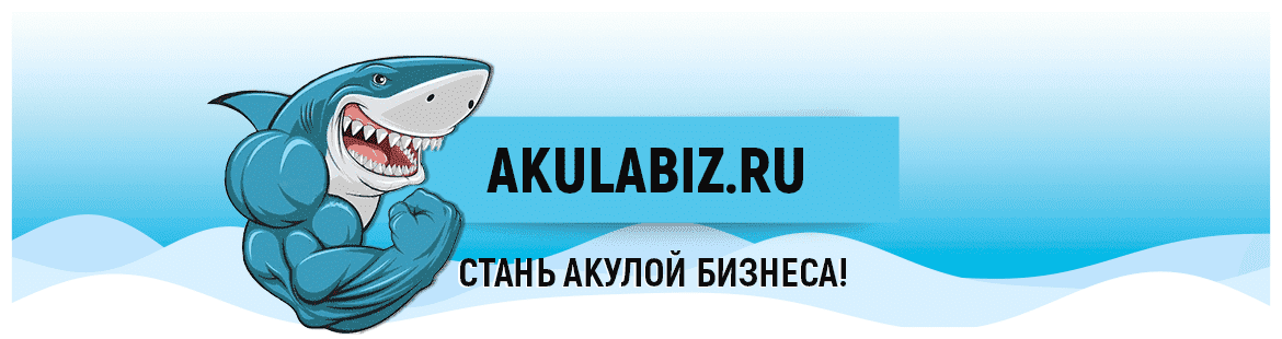 шапка главной страницы сайта AKULABIZ.RU